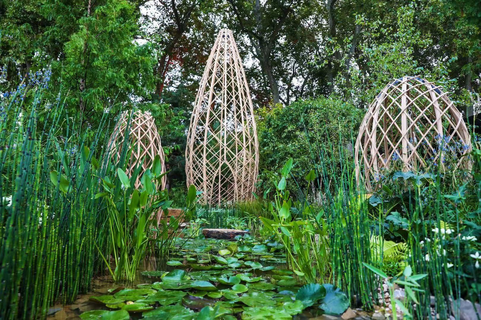 以花為媒，講好中國故事：“廣州花園”獲得百年切爾西花展金獎