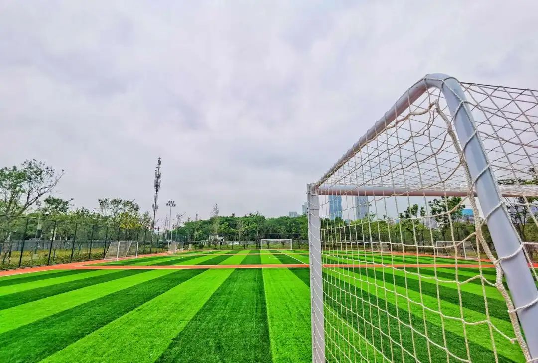 以人口為“定位器”布局體育公園，彰顯民生含金量