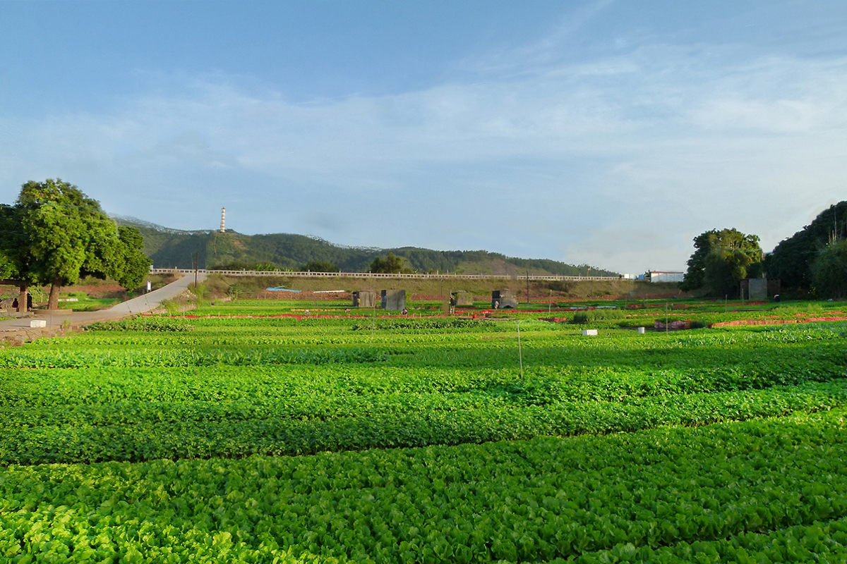 自然資源部：規(guī)范臨時用地 