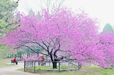 人居要聞|國家植物園，不只是看起來很美